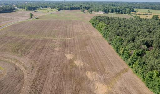 Photo #31 of 10010 Roundtree Road, Mt. Pleasant, NC 61.4 acres