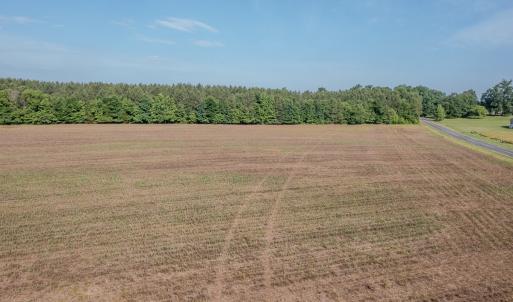 Photo #34 of 10010 Roundtree Road, Mt. Pleasant, NC 61.4 acres