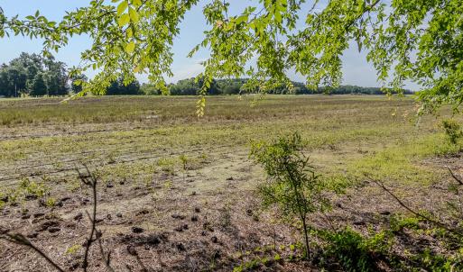 Photo #35 of 10010 Roundtree Road, Mt. Pleasant, NC 61.4 acres