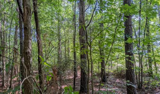 Photo #38 of 10010 Roundtree Road, Mt. Pleasant, NC 61.4 acres