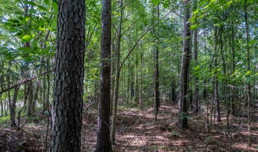 Photo #40 of 10010 Roundtree Road, Mt. Pleasant, NC 61.4 acres