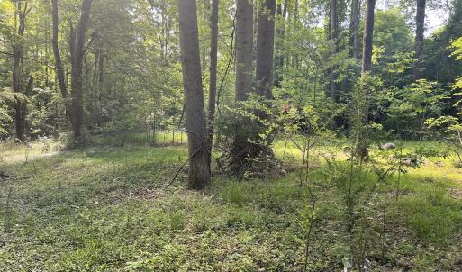 Photo #11 of SOLD property in Off Murray Rd, Winston Salem, NC 0.5 acres