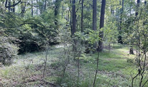 Photo #4 of SOLD property in Off Murray Rd, Winston Salem, NC 0.5 acres