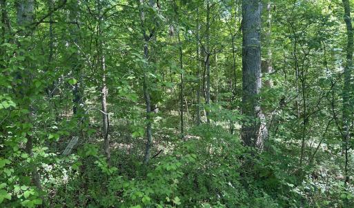 Photo #8 of SOLD property in Off Murray Rd, Winston Salem, NC 0.5 acres