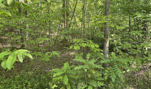 Photo #9 of SOLD property in Off Murray Rd, Winston Salem, NC 0.5 acres