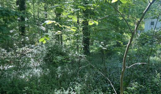 Photo #20 of SOLD property in Off Murray Rd, Winston Salem, NC 0.5 acres