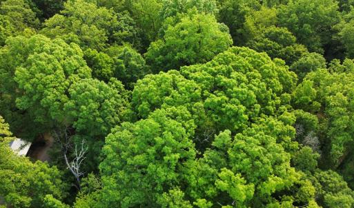 Photo #14 of SOLD property in Off Murray Rd, Winston Salem, NC 0.5 acres