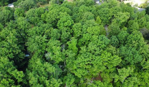 Photo #15 of SOLD property in Off Murray Rd, Winston Salem, NC 0.5 acres