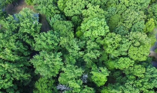 Photo #16 of SOLD property in Off Murray Rd, Winston Salem, NC 0.5 acres