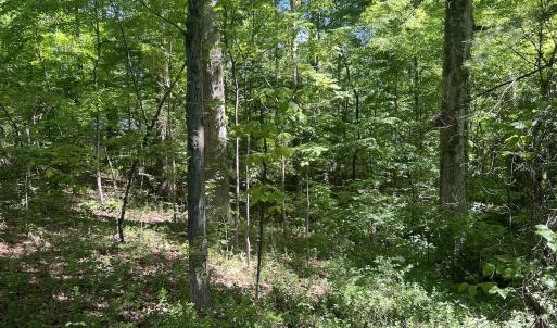 Photo #21 of SOLD property in Off Murray Rd, Winston Salem, NC 0.5 acres