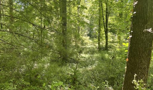 Photo #22 of SOLD property in Off Murray Rd, Winston Salem, NC 0.5 acres