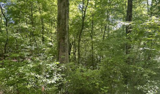 Photo #23 of SOLD property in Off Murray Rd, Winston Salem, NC 0.5 acres
