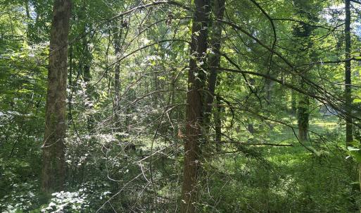 Photo #24 of SOLD property in Off Murray Rd, Winston Salem, NC 0.5 acres