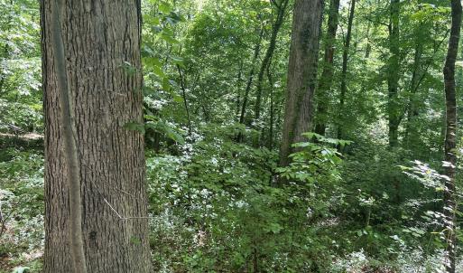Photo #25 of SOLD property in Off Murray Rd, Winston Salem, NC 0.5 acres