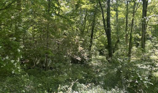Photo #26 of SOLD property in Off Murray Rd, Winston Salem, NC 0.5 acres