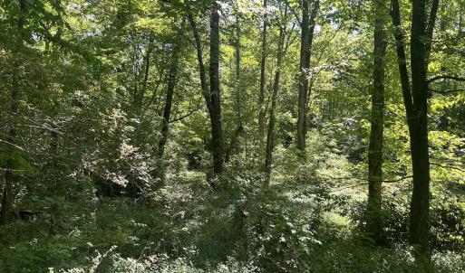 Photo #27 of SOLD property in Off Murray Rd, Winston Salem, NC 0.5 acres