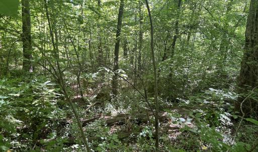 Photo #28 of SOLD property in Off Murray Rd, Winston Salem, NC 0.5 acres