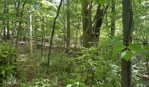 Photo #29 of SOLD property in Off Murray Rd, Winston Salem, NC 0.5 acres
