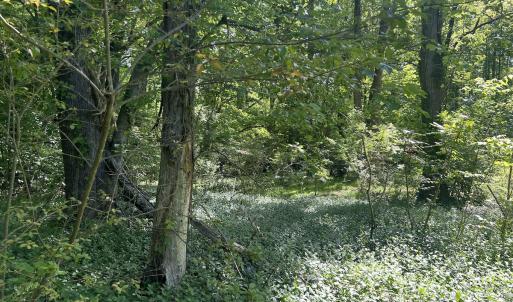 Photo #30 of SOLD property in Off Murray Rd, Winston Salem, NC 0.5 acres