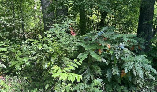 Photo #31 of SOLD property in Off Murray Rd, Winston Salem, NC 0.5 acres