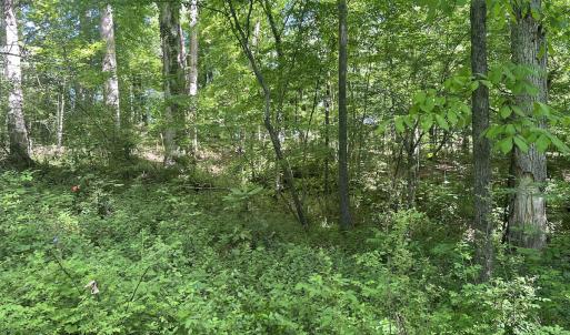 Photo #32 of SOLD property in Off Murray Rd, Winston Salem, NC 0.5 acres