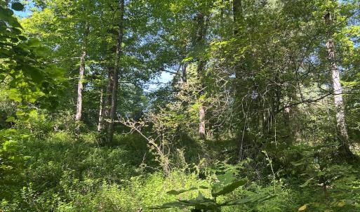 Photo #33 of SOLD property in Off Murray Rd, Winston Salem, NC 0.5 acres