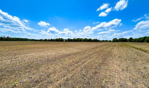 Photo #4 of Off West Rd, Chesapeake, VA 23.6 acres