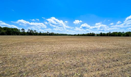 Photo #6 of Off West Rd, Chesapeake, VA 23.6 acres