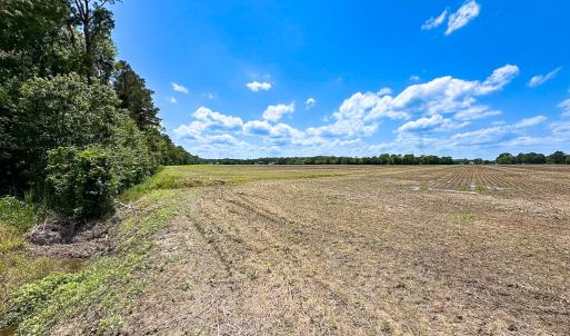 Photo #7 of Off West Rd, Chesapeake, VA 23.6 acres