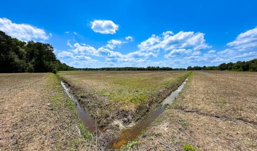 Photo #8 of Off West Rd, Chesapeake, VA 23.6 acres