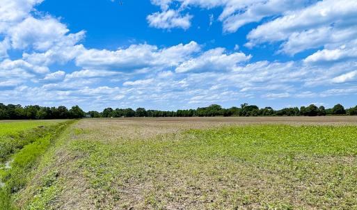 Photo #12 of Off West Rd, Chesapeake, VA 23.6 acres