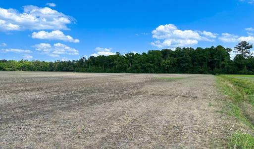 Photo #16 of Off West Rd, Chesapeake, VA 23.6 acres
