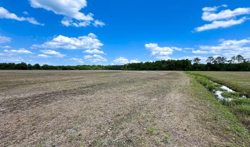 Photo #20 of Off West Rd, Chesapeake, VA 23.6 acres