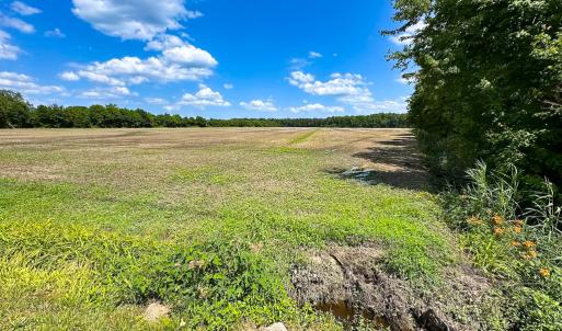 Photo #27 of Off West Rd, Chesapeake, VA 23.6 acres