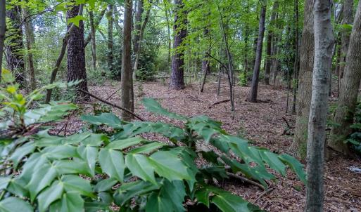 Photo #11 of TBD West Main Street, Locust, NC 8.7 acres