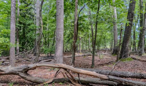 Photo #14 of TBD West Main Street, Locust, NC 8.7 acres