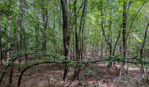 Photo #18 of TBD West Main Street, Locust, NC 8.7 acres