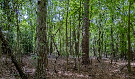 Photo #22 of TBD West Main Street, Locust, NC 8.7 acres