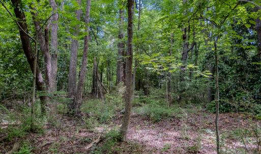 Photo #24 of TBD West Main Street, Locust, NC 8.7 acres