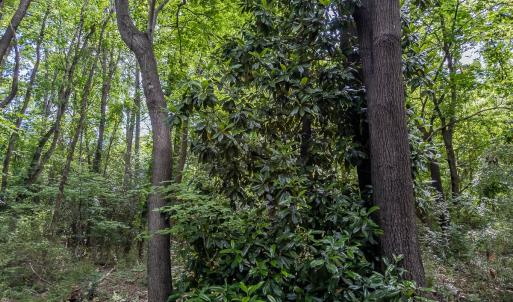 Photo #25 of TBD West Main Street, Locust, NC 8.7 acres