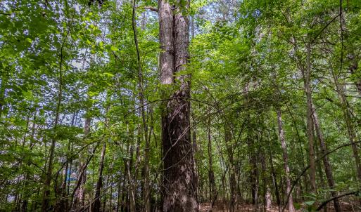 Photo #37 of TBD West Main Street, Locust, NC 8.7 acres