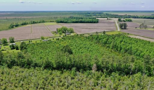 Photo #5 of SOLD property in 295 Kilkenny Rd, Fairfield, NC 9.3 acres
