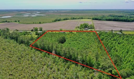 Photo #6 of SOLD property in 295 Kilkenny Rd, Fairfield, NC 9.3 acres