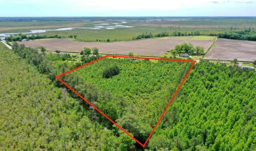 Photo #7 of SOLD property in 295 Kilkenny Rd, Fairfield, NC 9.3 acres