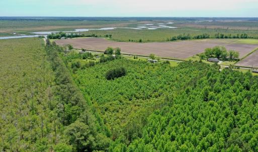 Photo #8 of SOLD property in 295 Kilkenny Rd, Fairfield, NC 9.3 acres