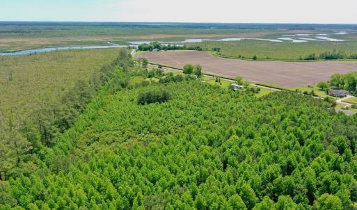 Photo #9 of SOLD property in 295 Kilkenny Rd, Fairfield, NC 9.3 acres