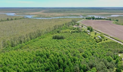 Photo #10 of SOLD property in 295 Kilkenny Rd, Fairfield, NC 9.3 acres
