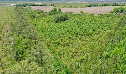 Photo #14 of SOLD property in 295 Kilkenny Rd, Fairfield, NC 9.3 acres