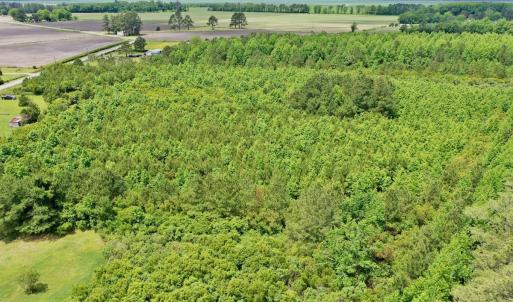 Photo #15 of SOLD property in 295 Kilkenny Rd, Fairfield, NC 9.3 acres
