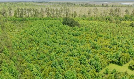Photo #17 of SOLD property in 295 Kilkenny Rd, Fairfield, NC 9.3 acres